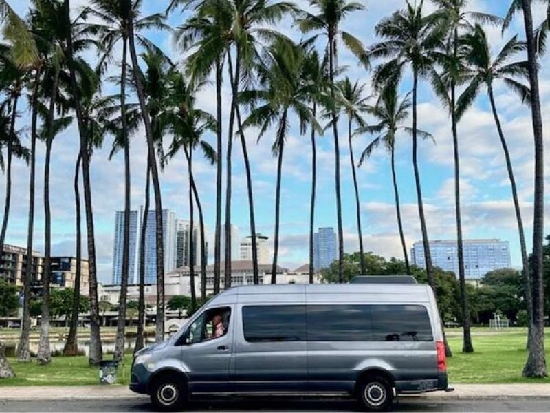 Shared Round-Trip Transfer: Honolulu Airport to Hotel or Cruise Terminal