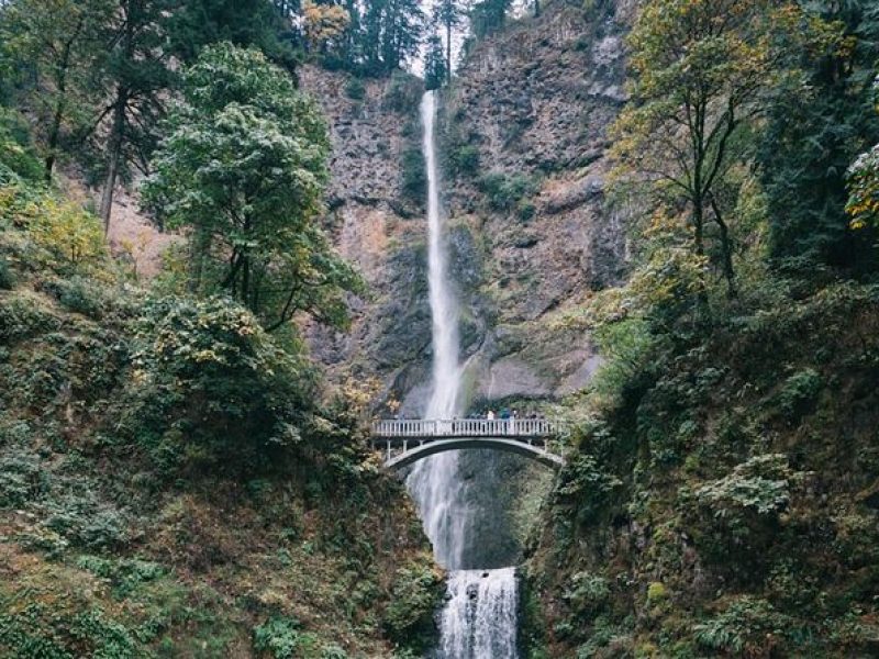 Afternoon Half-Day Multnomah Falls and Columbia River Gorge Waterfalls Tour from Portland