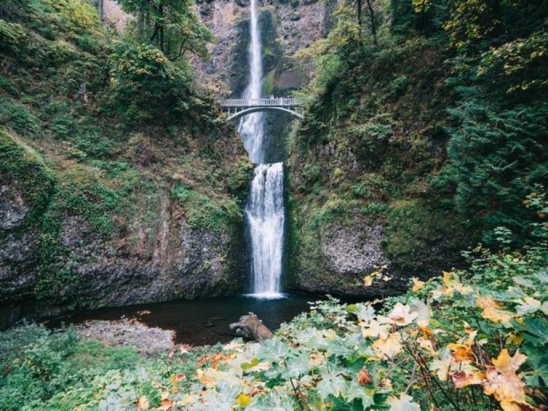 Waterfalls, Mt Hood, and Wine Tour (Tasting Fees Included)