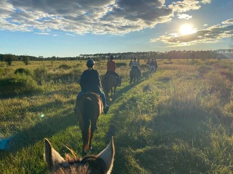 Horseback Ride on Scenic Lake Louisa Trails