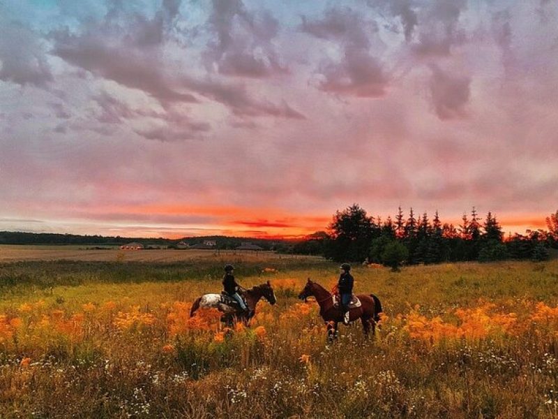 Champagne and Charcuterie Sunset Trail Ride