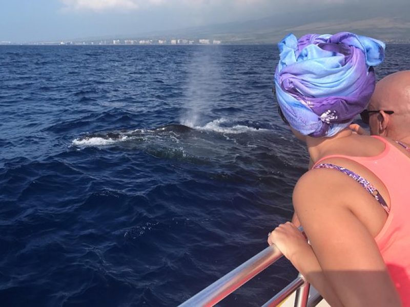 Small-Group Whale Watching Adventure