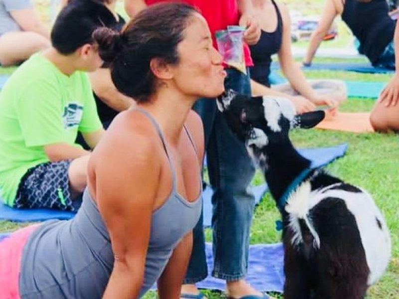 Sunset Maui Goat Yoga with Live Music