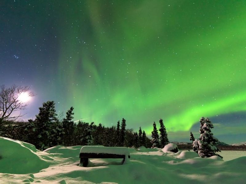 Arctic Circle and Northern Lights Tour from Fairbanks