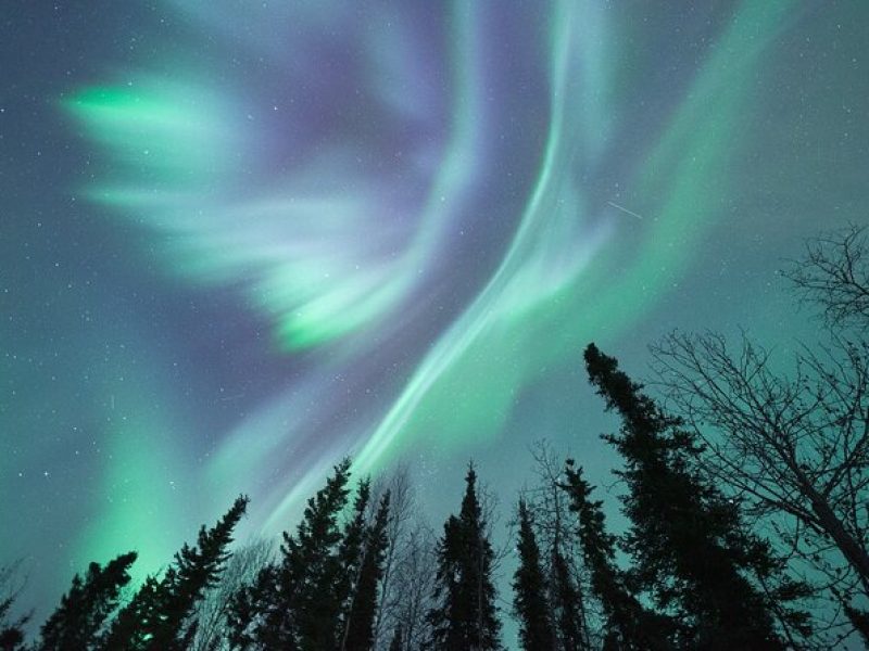 Northern Lights Viewing at Murphy Dome