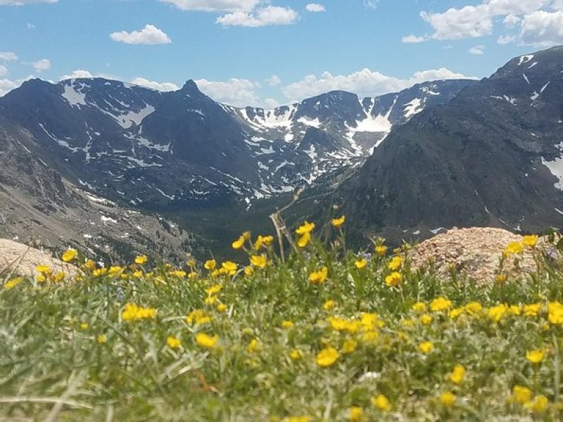 Rocky Mountain National Park in Summer Tour from Denver