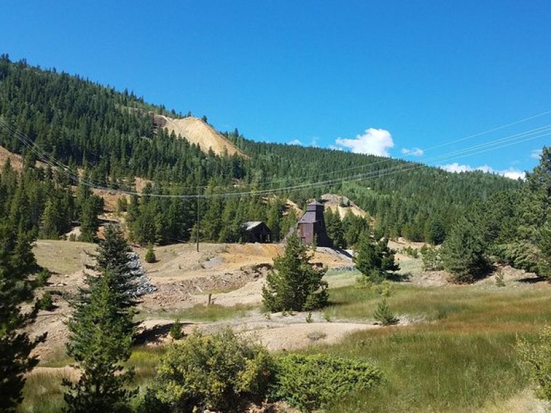 Colorado Gold Rush Mountain and Mine Half-Day Tour from Denver