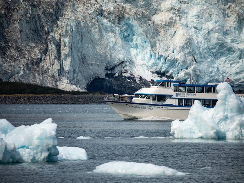 Kenai Fjords National Park Cruise from Seward