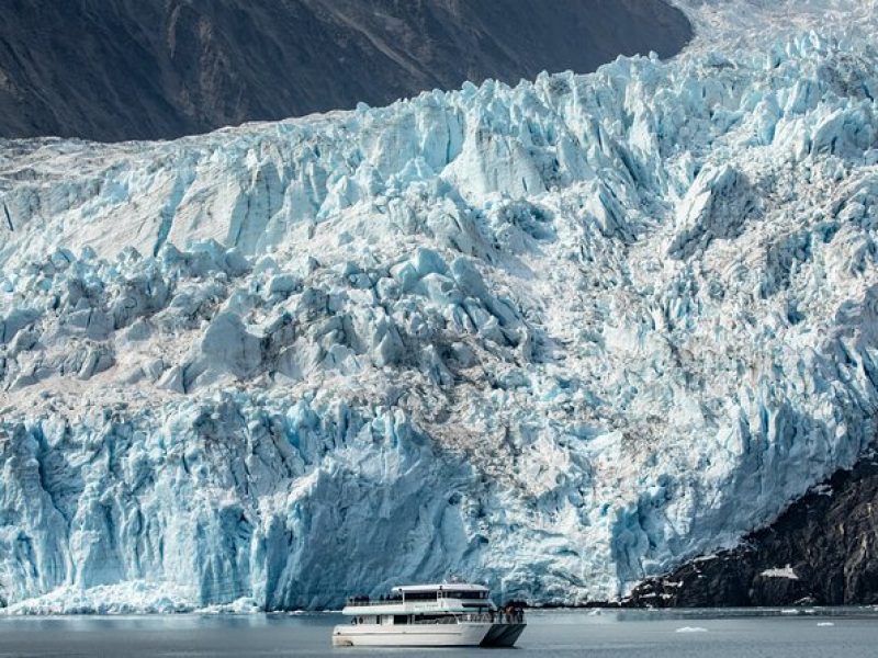 Seward Shore Excursion: Pre- or Post-Cruise Kenai Fjords National Park Tour