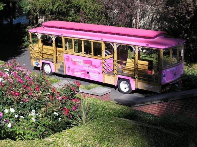 Portland Hop-On Hop-Off Pink Trolley Tour with Gray Line – 1 or 2 Day Pass