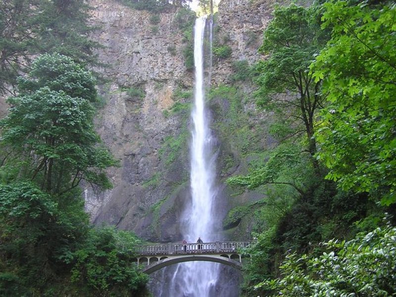 Multnomah Falls & Columbia River Gorge Tour with Gray Line -PDX03