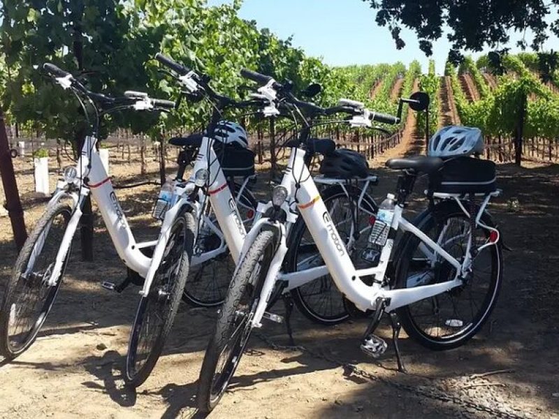 Experience E-Bike with Wine Tasting Activity