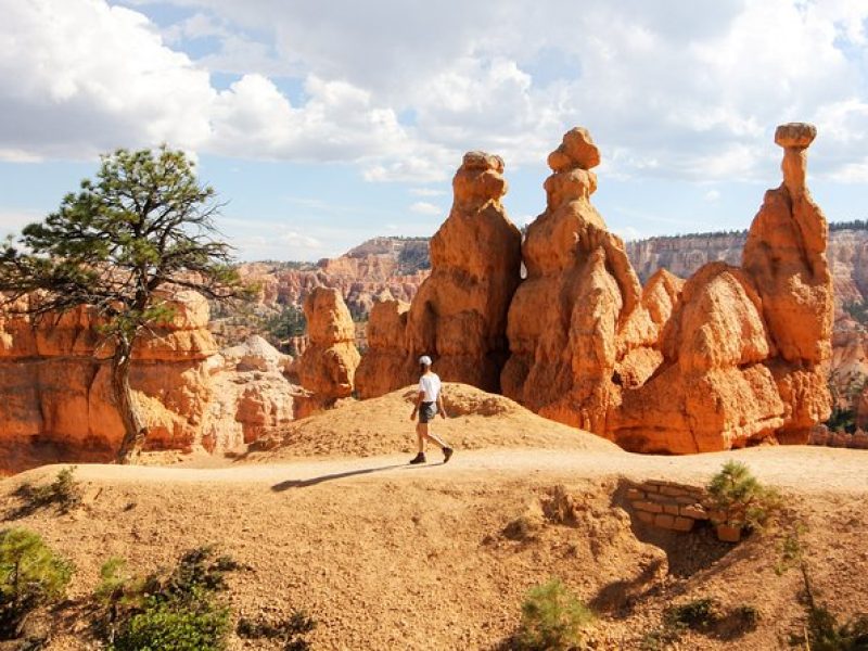 Bryce Canyon & Zion National Parks from Vegas, Lunch, Free WiFi