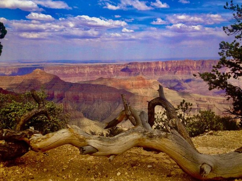 Private Tour: Grand Canyon North Rim Day Tour from Las Vegas