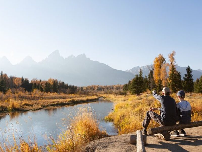 From Jackson: Full-day Grand Teton Wildlife and Scenery Tour with Lunch