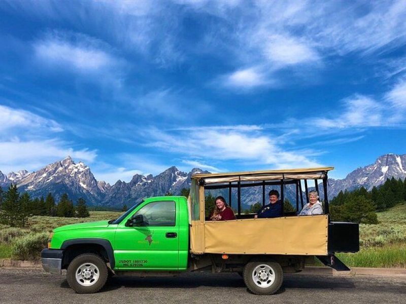 Grand Teton Wildlife Safari in a Enclosed or Open-Air Vehicle (season dependent)