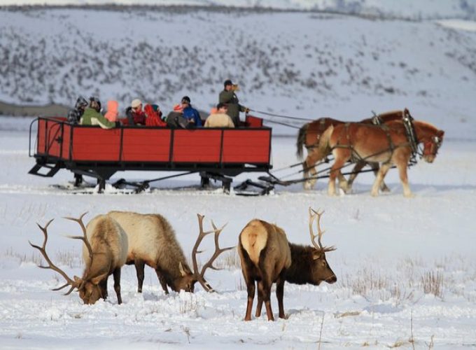 Grand Teton and National Elk Refuge Winter Wonderland Full Day Adventure