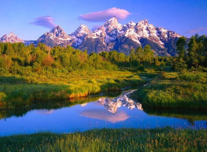 Grand Teton National Park Tour from Jackson Hole