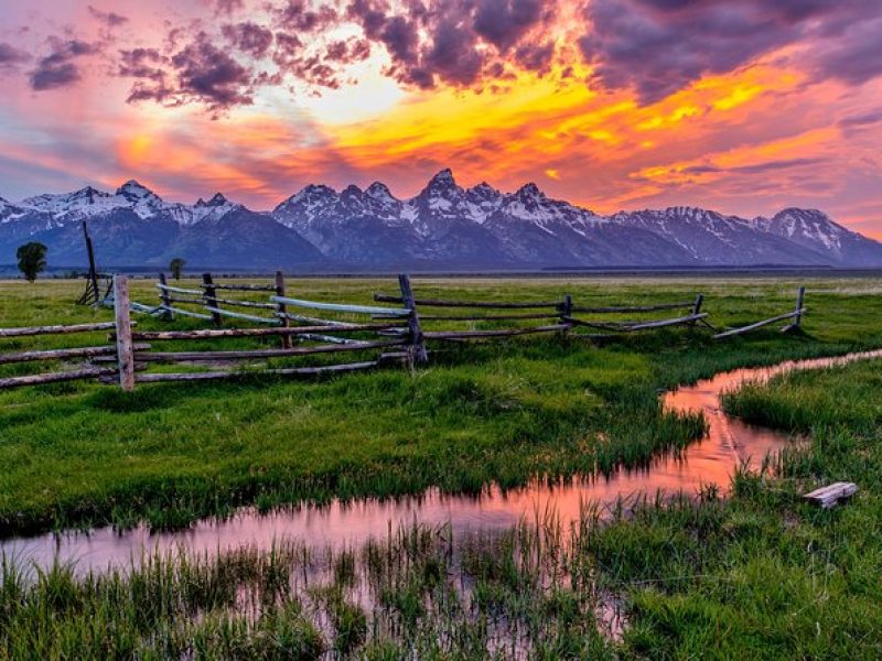 Luxury Private Half-Day Grand Teton National Park Tour