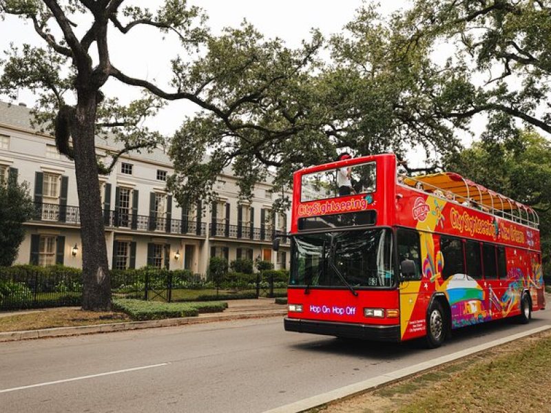 New Orleans Hop-On Hop-Off and Garden District Walking Tour