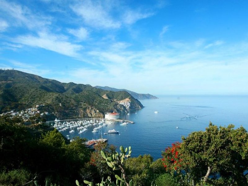 Catalina Island Trip with Hotel transfers & Optional tours