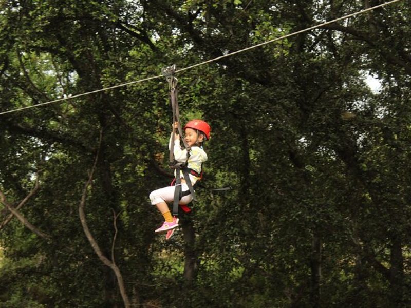 3 Zipline Adventure with Waikiki Transportation