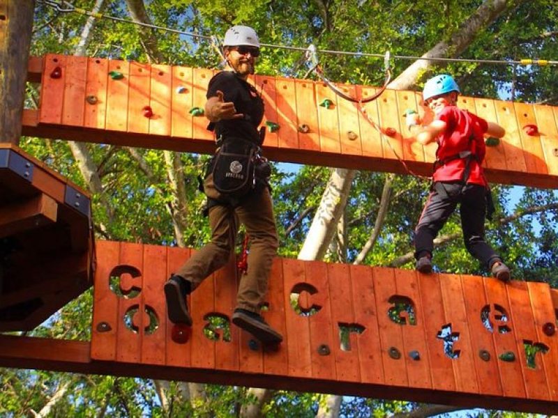 Aerial Challenge Course