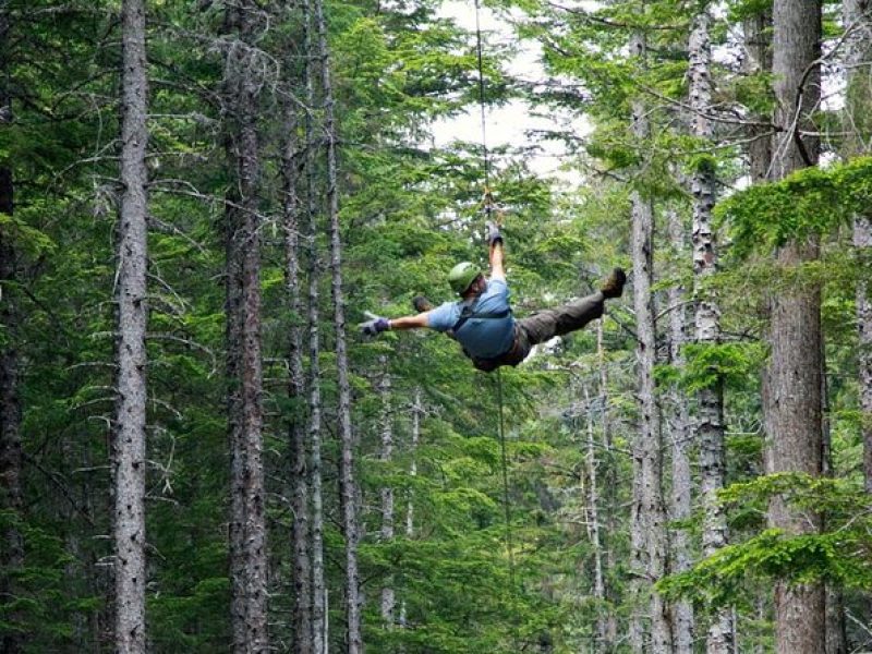 Grizzly Falls Ziplining Expedition