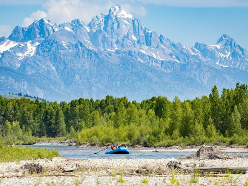 Scenic Wildlife Float in Jackson Hole