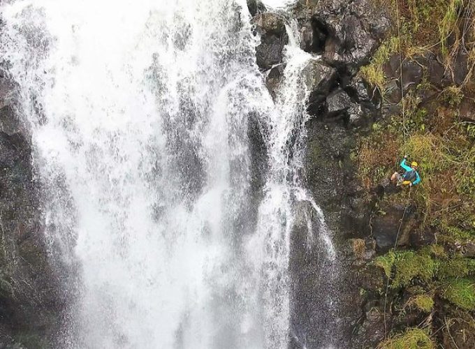 Waterfall Rappelling at Kulaniapia Falls: 120 Foot Drop, 15 Minutes from Hilo