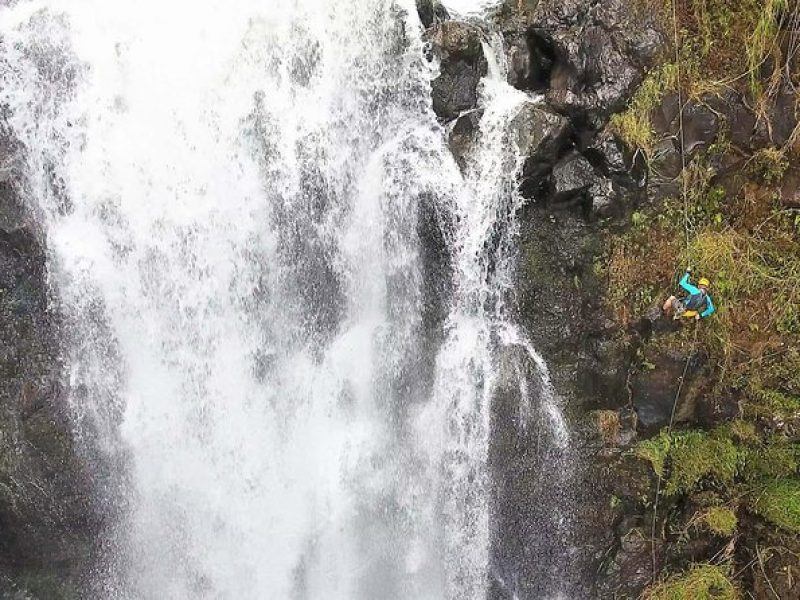 Waterfall Rappelling at Kulaniapia Falls: 120 Foot Drop, 15 Minutes from Hilo