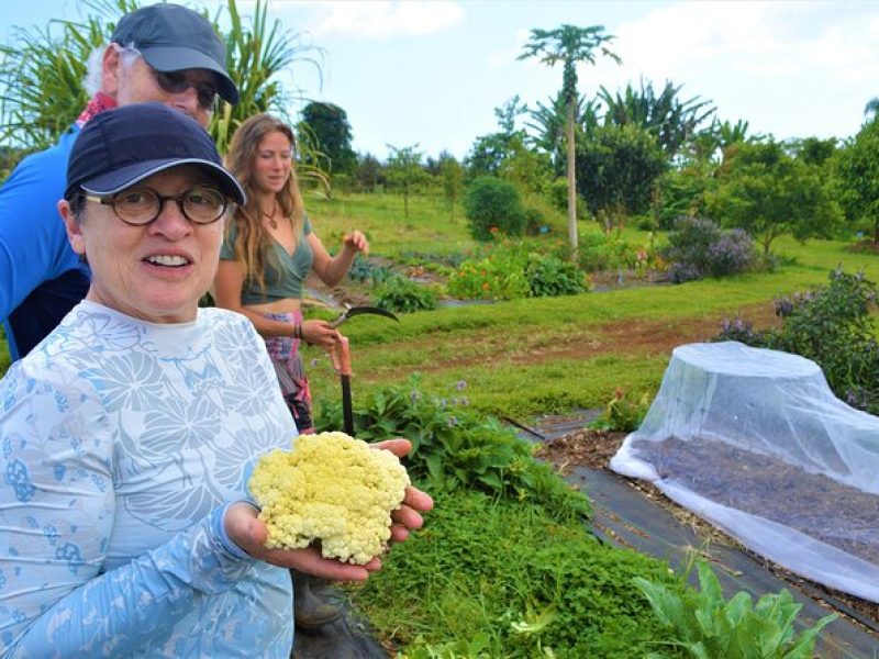 Farm to Table Cooking Class at Kulaniapia Falls