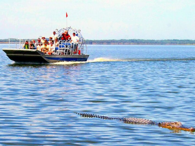 MIAMI: Everglades Airboat Tour, Photo and Gator Experience