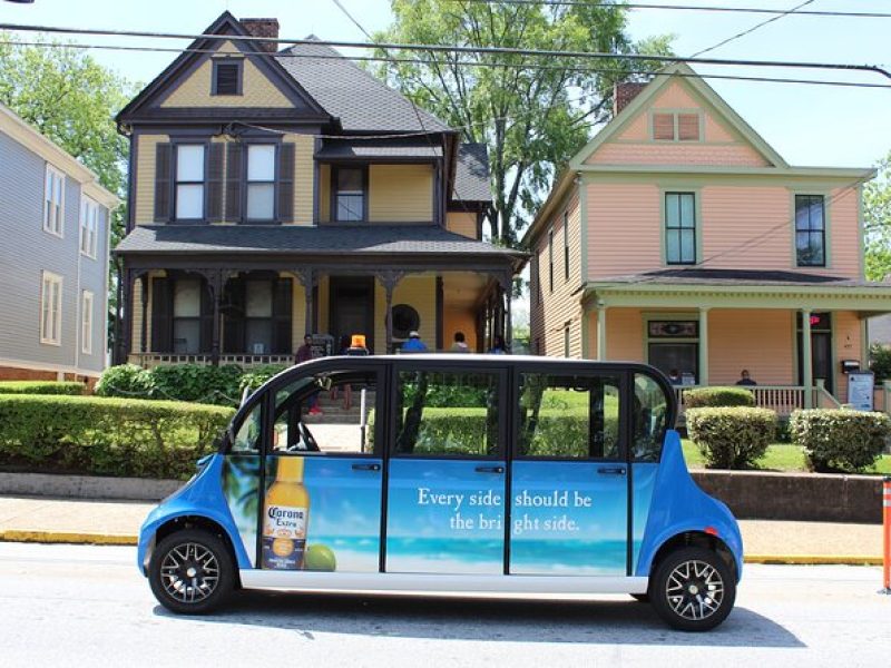 90-Minute Guided Sightseeing Tour by E-Car or MiniBus