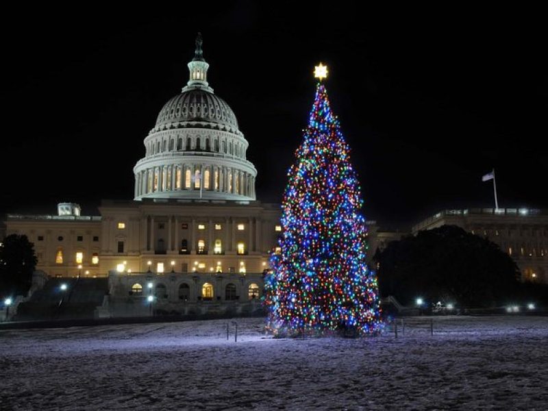 Washington DC Holiday Lights Tour