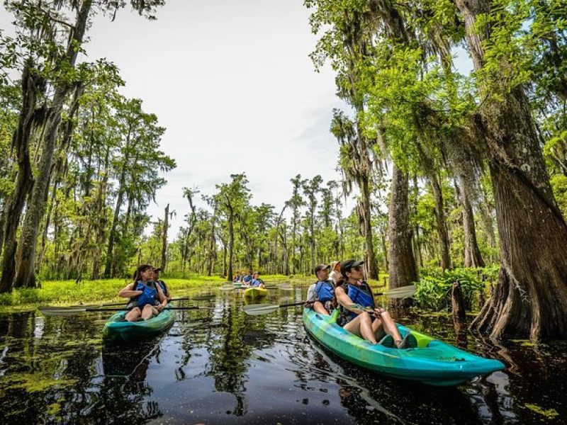 Small-Group Manchac Swamp Kayak Tour with Local Guide