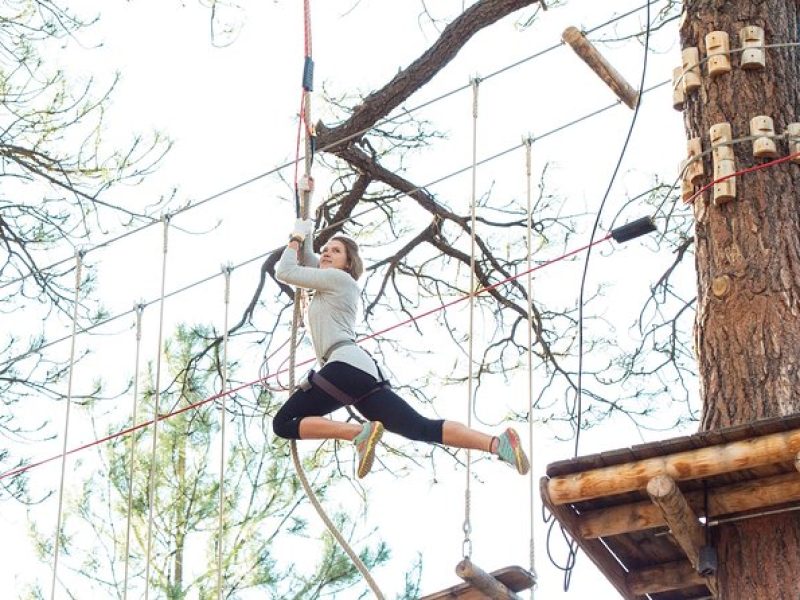 Flagstaff Extreme Adventure Course-Adult Course