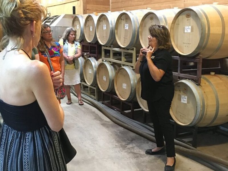 Fredericksburg Hill Country Aficionado Wine Tour from San Antonio