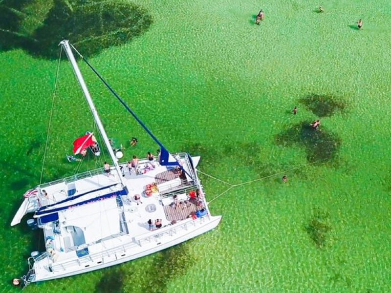 Shell Island Snorkel and Dolphin Catamaran Cruise with Island Time