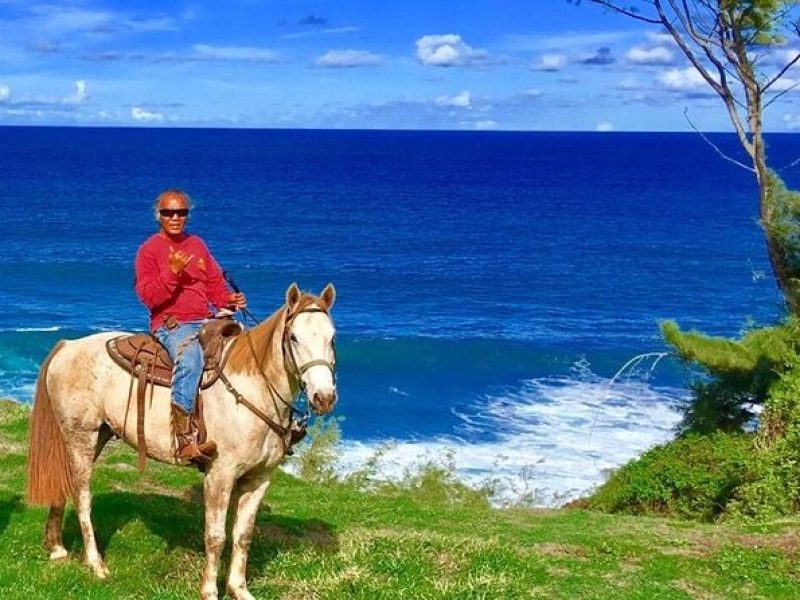 West Maui Mountain Waterfall and Ocean Tour via Horseback