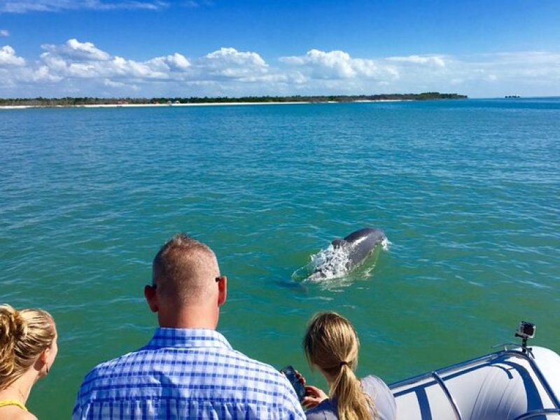 Ten Thousand Islands Boat Tour up to 12 people