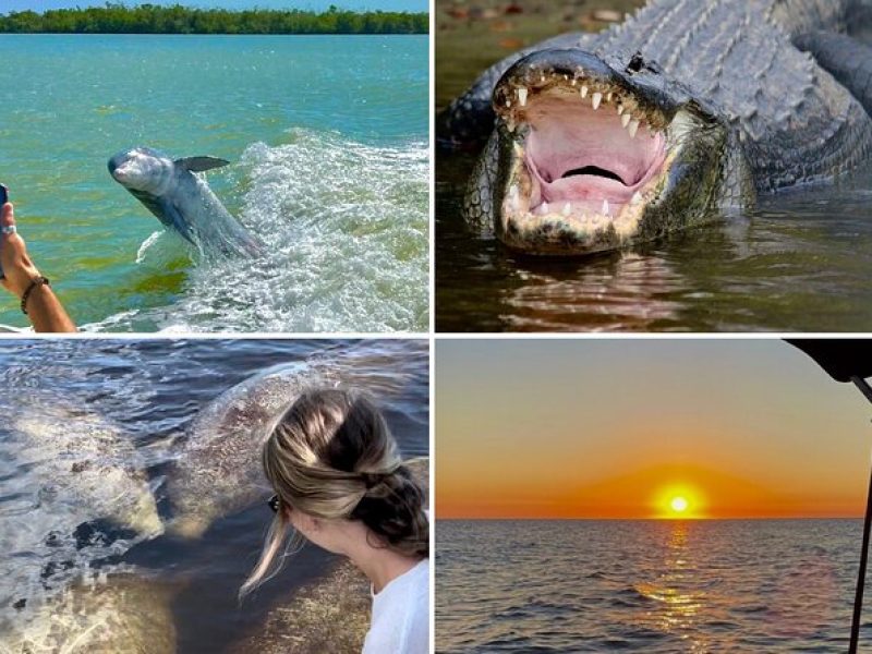 Manatee, Dolphin and 10,000 Islands Sunset Cruise!