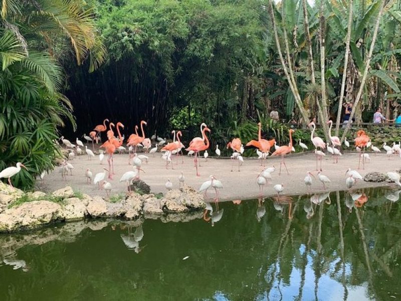 Skip the Line: Flamingo Gardens Admission Ticket in Fort Lauderdale