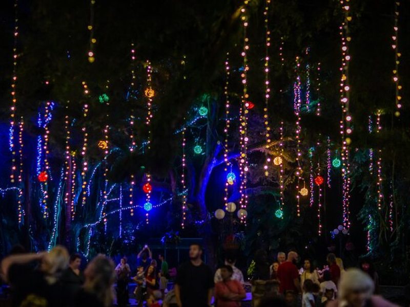 Flamingo Gardens' Garden of Lights