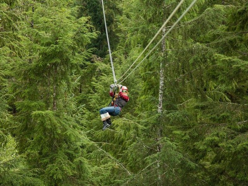 Rainforest Zip, Skybridge & Rappel Adventure in Ketchikan, AK