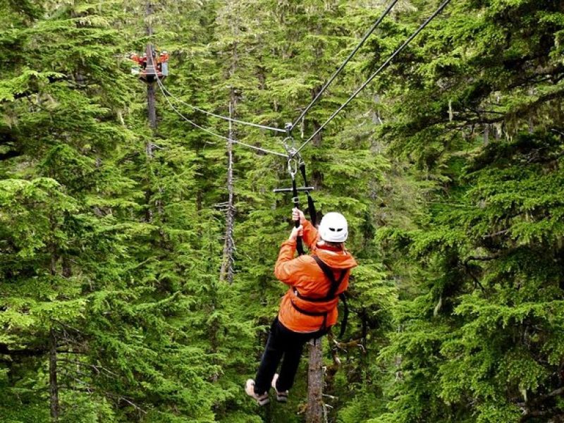 Alpine Zipline Adventure in Juneau, AK