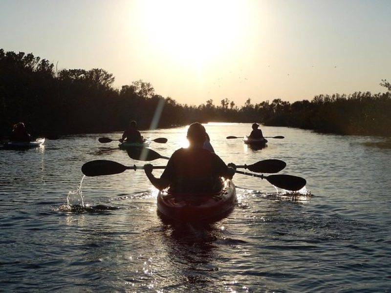 Manatees/Sunset/Bioluminescence Tour