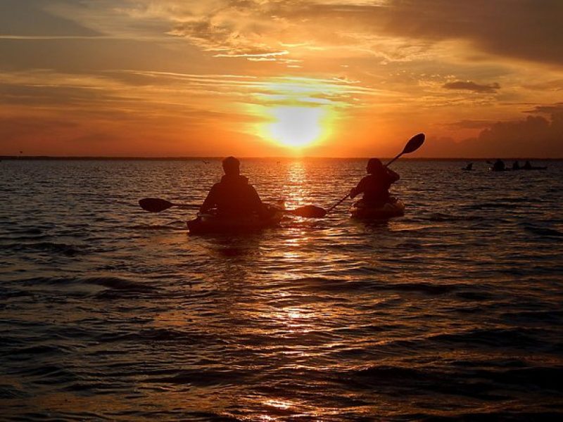 Sunset Bioluminescence Tour