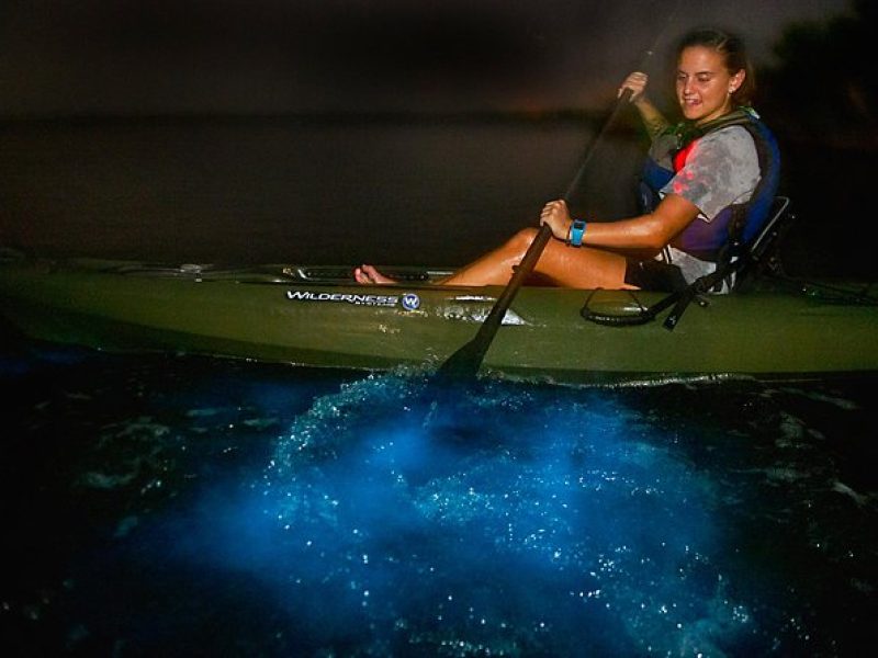 Bioluminescence Kayak Tour