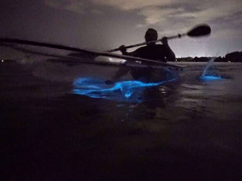 Clear Kayak Bioluminescence Tour